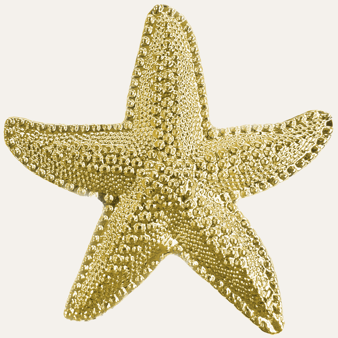 Golden Star – Napkin Rings in Gold Star Fish Design, Elegant Decorative Dining Table Décor